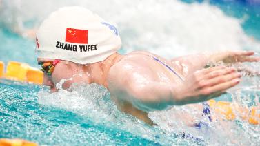 经成为一项 经成为一项