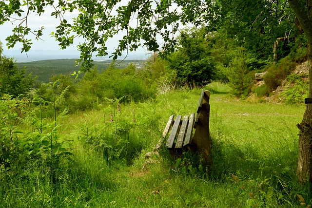 靠的更多是 靠的更多是