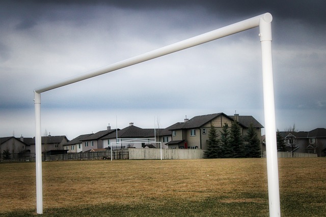 优异的球队 优异的球队