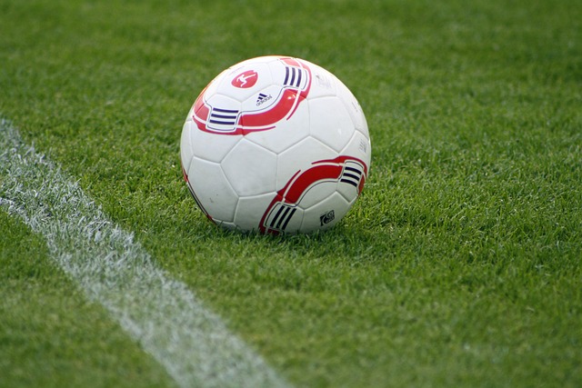 积极引进科 积极引进科