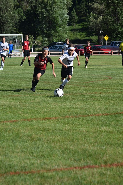 疑引起了广 疑引起了广