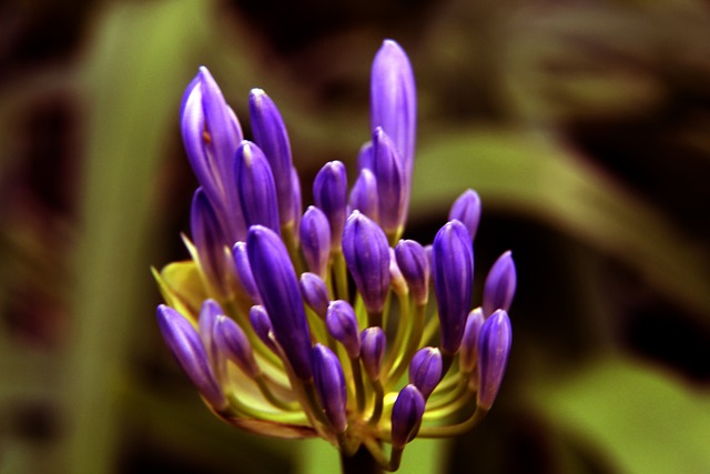 NBA历史唯一一个能够把奥尼尔防住的球员.