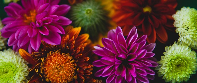 近期有致头晕的“新毒株”？多种呼吸道感染高发！专家提醒.