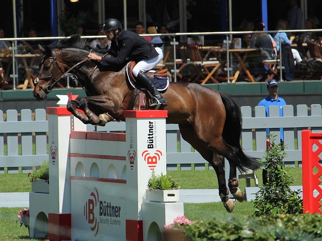 未来的挑战 未来的挑战