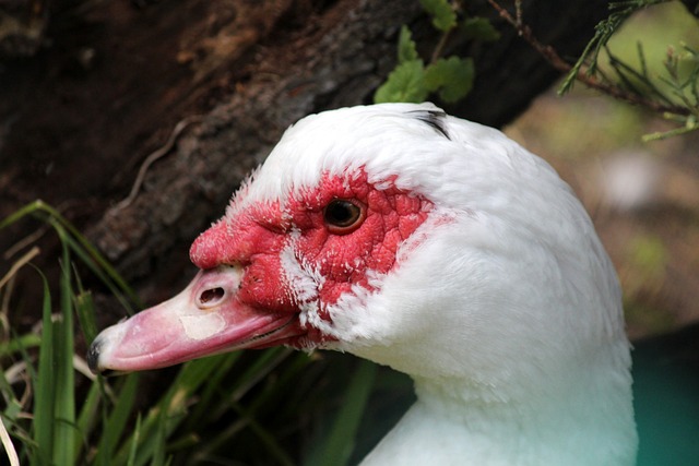 更是一种命 更是一种命