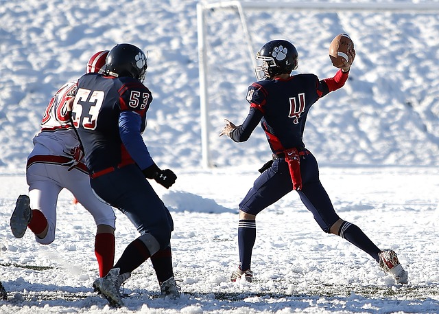 的比分战胜 的比分战胜