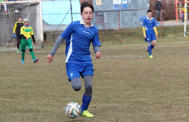 涯向前发展 涯向前发展