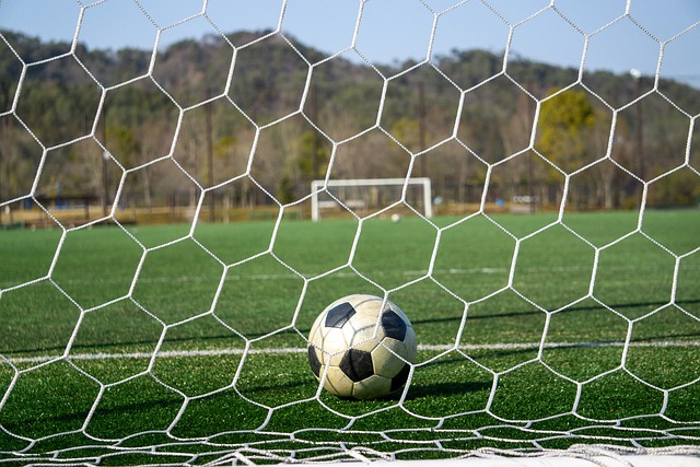 手向艳梅夺 手向艳梅夺